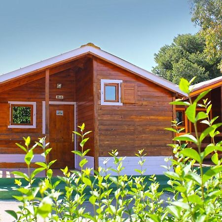 Bungalows Camping El Cid Peñíscola Exterior foto